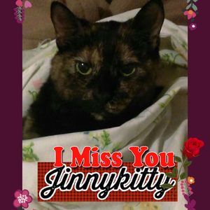 Meet your Posher, Carl